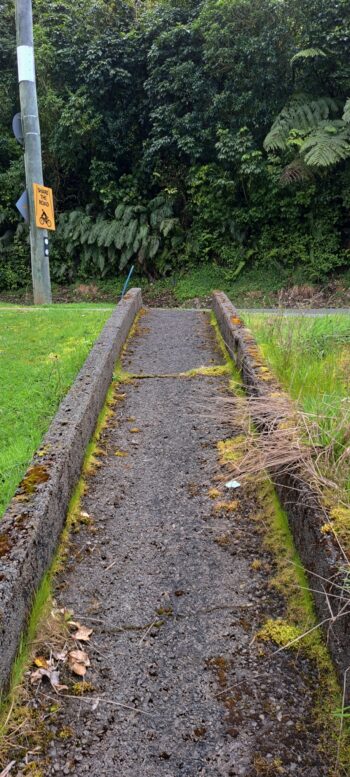 Chlorination Plant Pathway - 2025 - © wainuiomata.net