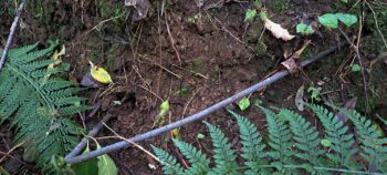 Small pipe near the Orongorongo Meter Hut - 2025 - © wainuiomata.net