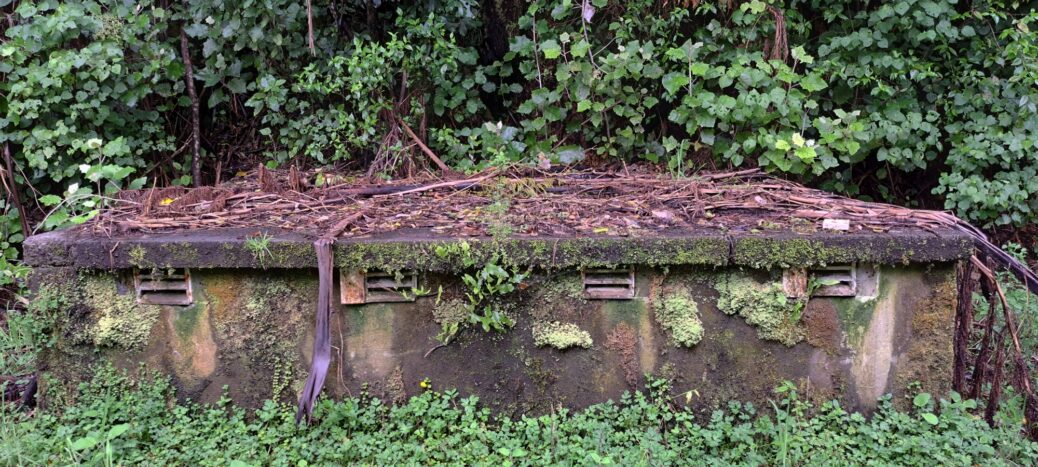 O-K Pipe Venturi Meter House - 2025 - © wainuiomata.net