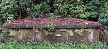 Orongorongo Meter Hut - 2025 - © wainuiomata.net