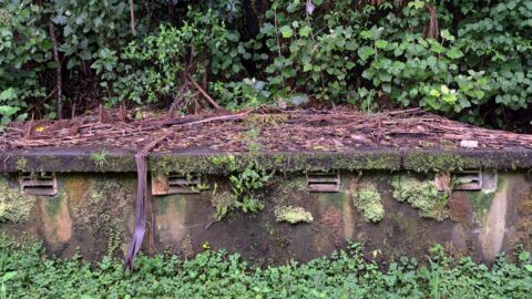 O-K Pipe Venturi Meter House - 2025 - © wainuiomata.net