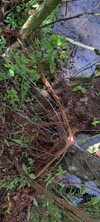 Old fence wire located at the Venturi Meter House site - 2025 - © wainuiomata.net