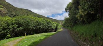 Modern day photo to compare with old black and white photo of Venturi Meter House - 2025 - © wainuiomata.net