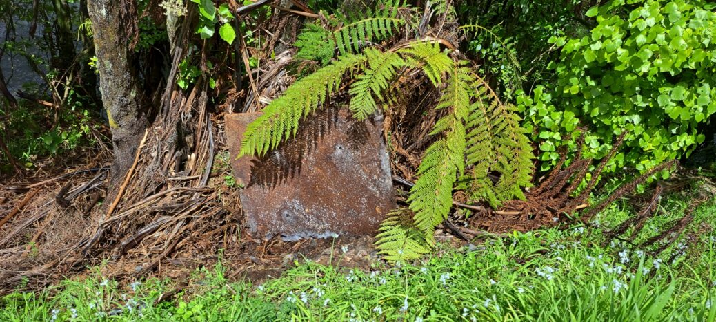 Unburied old steel plate located at the Venturi Meter House site - 2025 - © wainuiomata.net