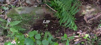 Brick and concrete slab likely belonging to Venturi Meter House - 2025 - © wainuiomata.net