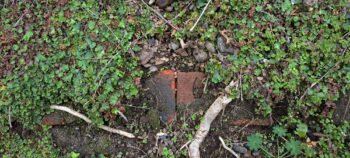 Bricks near the Water Race edge on Reservoir Road - 2025 - © wainuiomata.net