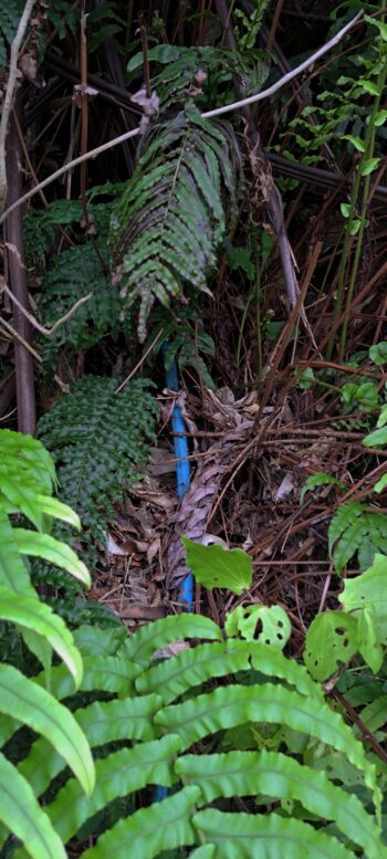 Exposed tube from O-K Pipe Venturi Meter House - 2025 - © wainuiomata.net