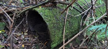 Abandoned O-K Pipe section - 2025 - © wainuiomata.net