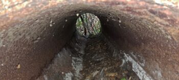 Abandoned O-K Pipe section - 2025 - © wainuiomata.net