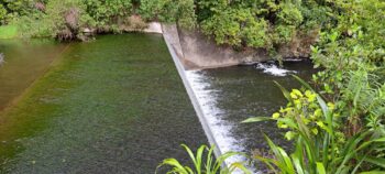 Old Dam Spillway - 2025 - © wainuiomata.net