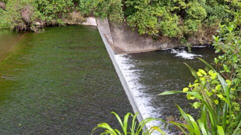 Old Dam Spillway - 2025 - © wainuiomata.net