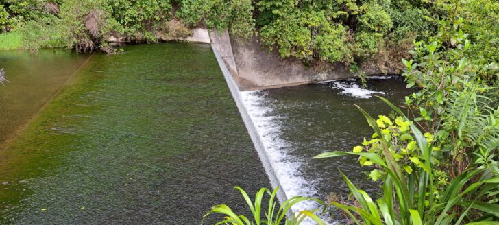 Old Dam Spillway - 2025 - © wainuiomata.net