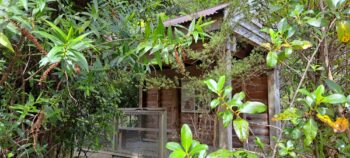 Lower Dam Boatshed Site - 2025 - © wainuiomata.net