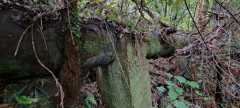 Morton Pipeline - 2025 - © wainuiomata.net