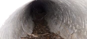 Scour Pipe for Orongorongo Pipeline- 2025 - © wainuiomata.net