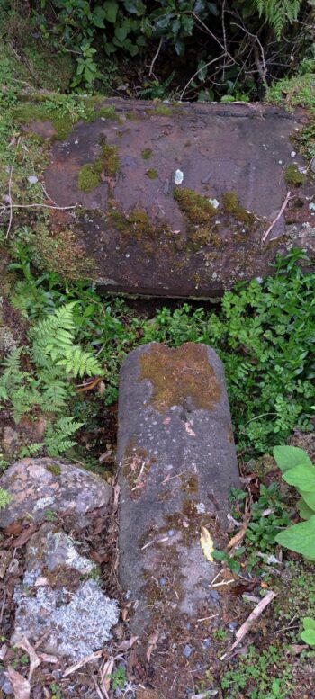 Orongorongo Pipeline - 2025 - © wainuiomata.net