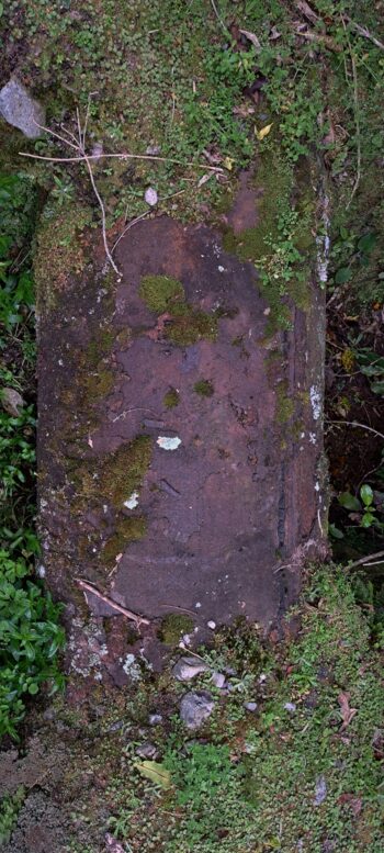 Orongorongo Pipeline - 2025 - © wainuiomata.net