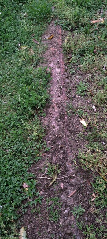 Orongorongo Pipeline - 2025 - © wainuiomata.net