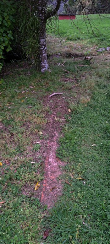 Orongorongo Pipeline - 2025 - © wainuiomata.net