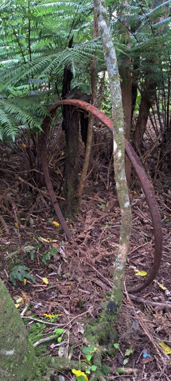 Old cartwheel - 2025 - © wainuiomata.net