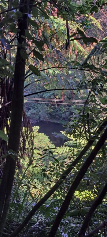 Wainuiomata River - 2025 - © wainuiomata.net