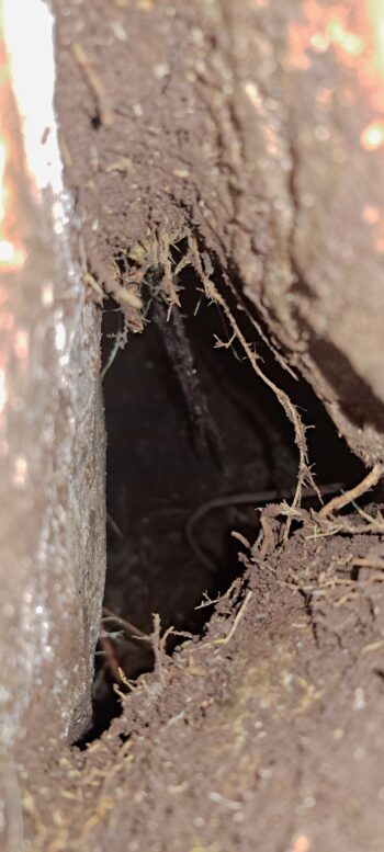 Exposed Water Race - 2025 - © wainuiomata.net