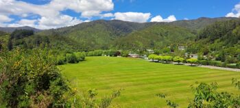 Richard Prouse Park - 2025 - © wainuiomata.net