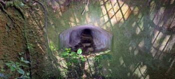 Water Race Exit at Coleman's Tunnel / Well - 2025 - © wainuiomata.net