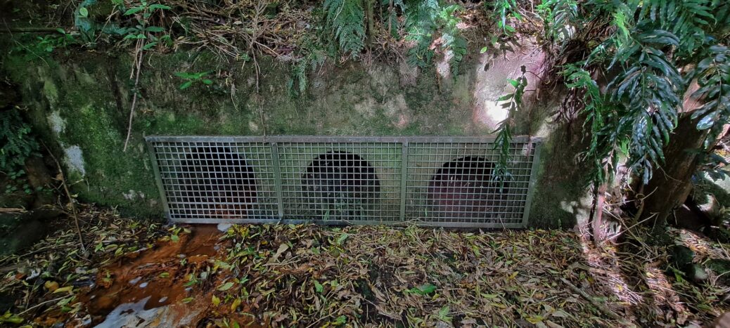 Relief tunnels / sluice pipes through the old dam next to tunnel - 2024 - © wainuiomata.net