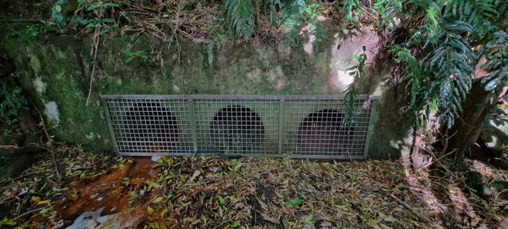 Relief tunnels / sluice pipes through the old dam next to tunnel - 2024 - © wainuiomata.net