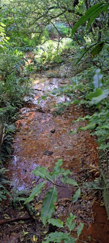 Sinclair Tunnel sludge - 2025 - © wainuiomata.net