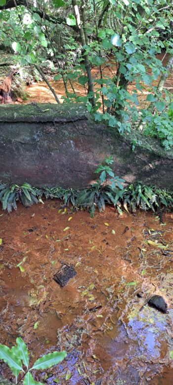 Sinclair Tunnel - 2025 - © wainuiomata.net