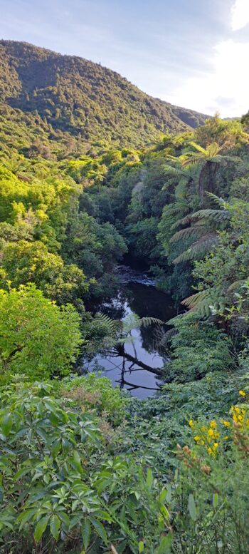 Wainuiomata River - 2025 - © wainuiomata.net