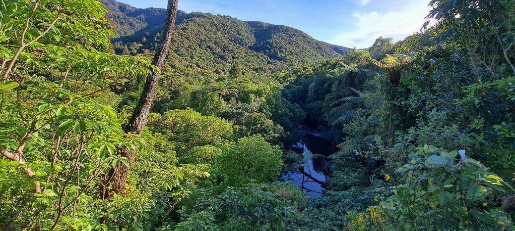 Wainuiomata River - 2025 - © wainuiomata.net