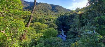 Wainuiomata River - 2025 - © wainuiomata.net