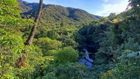 Wainuiomata River - 2025 - © wainuiomata.net