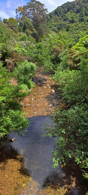 Grace's Stream in Wainuiomata - 2025 - © wainuiomata.net