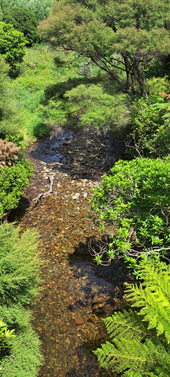 Grace's Stream in Wainuiomata - 2025 - © wainuiomata.net