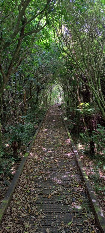 Nga Taonga Nature Walk in Wainuiomata - 2025 - © wainuiomata.net