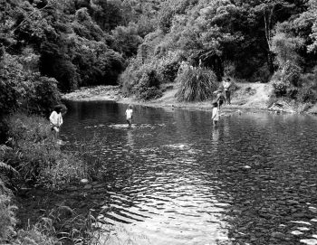 Catchpool Stream in Wainuiomata - 04 Dec 1977 - WHMS: L3276