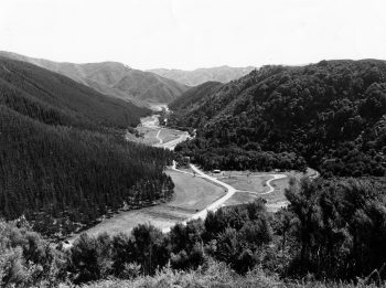 Catchpool Valley in Remutaka Forest Park - 27 Nov 1981 - WHMS: L3392