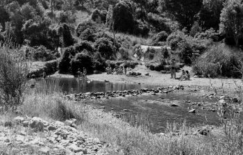 Catchpool Stream swimming hole - 22 Jan 1984 - WHMS: L3397