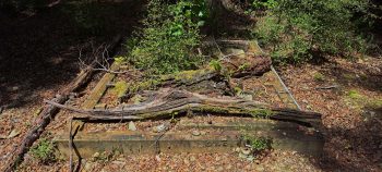 Old foundation at abandoned Grace's Stream Campsite in Wainuiomata - 2025 - © wainuiomata.net