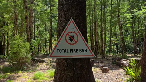 Old Fire Ban sign at abandoned Grace's Stream Campsite in Wainuiomata - 2025 - © wainuiomata.net