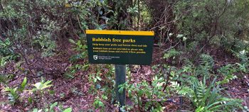 Old Doc sign at abandoned Grace's Stream Campsite in Wainuiomata - 2025 - © wainuiomata.net