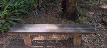 Bench seat at Grace's Stream Campsite next to Five Mile Loop Track - 2025 - © wainuiomata.net