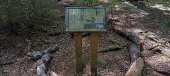 Old sign in Grace's Stream Campsite in Wainuiomata - 2025 - © wainuiomata.net
