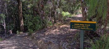 Sign at the junction of the Five Mile Loop Track and Middle Ridge Track - 2025 - © wainuiomata.net