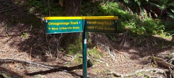 Ōrongorongo Track / Five Mile Loop track sign - 2025 - © wainuiomata.net