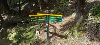 Ōrongorongo Track / Five Mile Loop track sign - 2025 - © wainuiomata.net